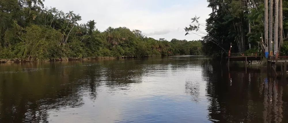 'Florestas' foi último tema debatido no fórum da plataforma Amazônia que Eu Quero