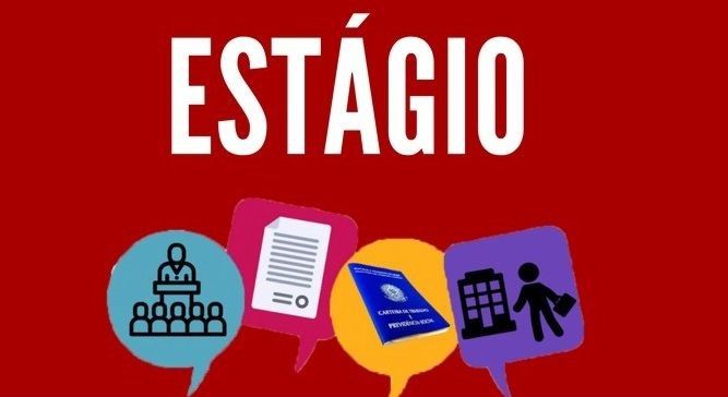 Dia do estagiário: o primeiro passo na vida profissional