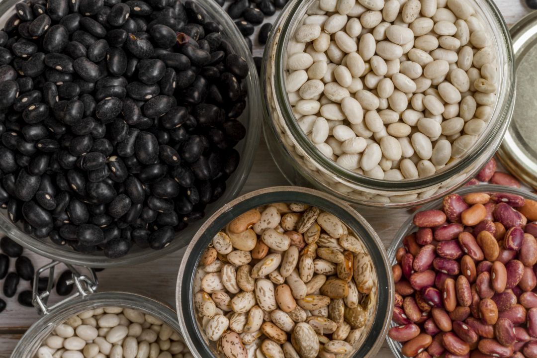 Por Dentro do Agro: pesquisa revela diversidade e alto valor nutricional em feijões amazônicos