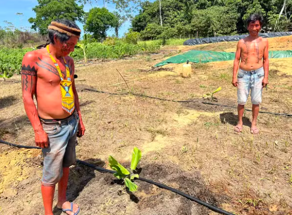 EP1: Por Dentro do Agro: o silêncio que se ouve hoje na Terra Indígena Yanomami