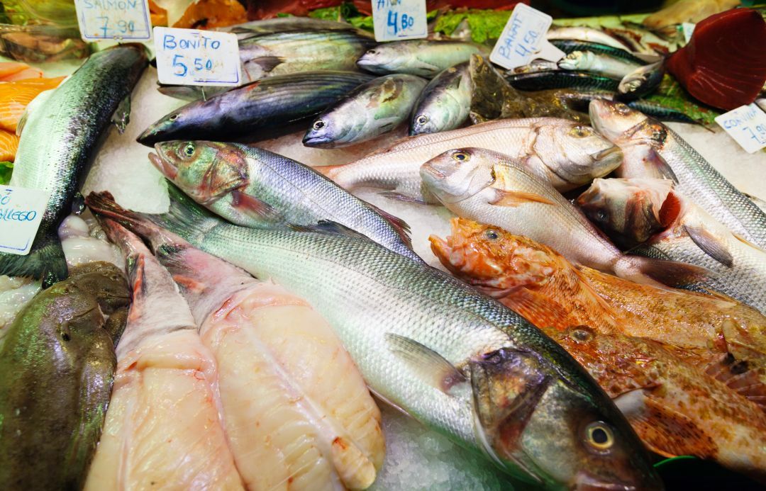 15ª feira do peixe e agricultura familiar inicia hoje (01) em Rio Branco