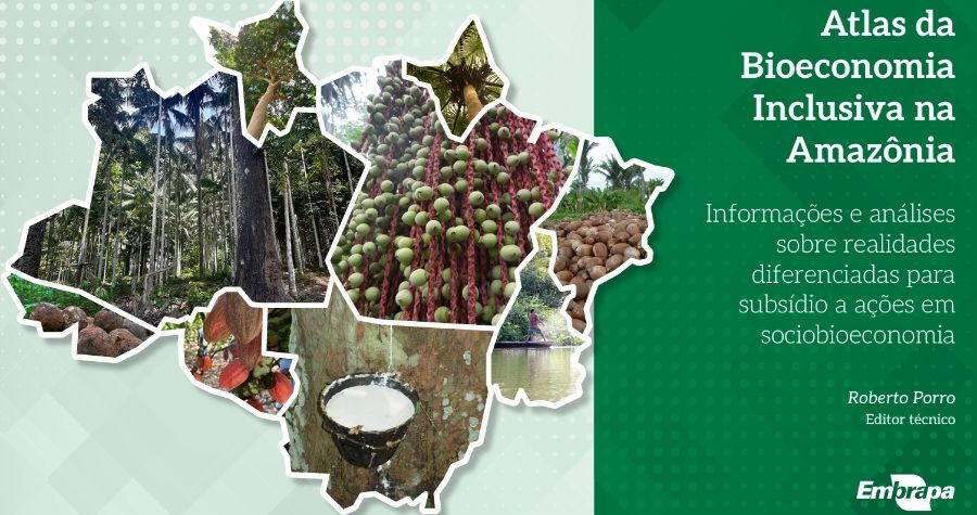Por Dentro do Agro: conheça o atlas da bioeconomia inclusiva