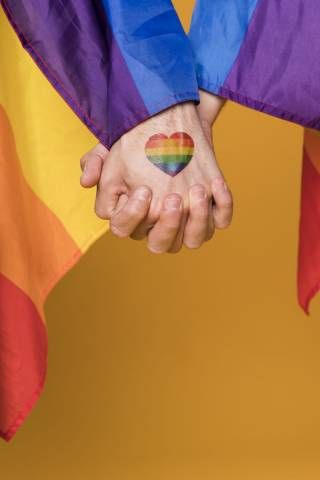 Seus Direitos: Direitos das pessoas LGBTQIA+ e os desafios enfrentados diariamente no acesso à cidadania