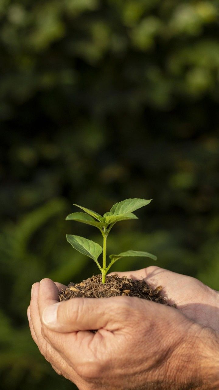 Resíduos sólidos e sustentabilidade