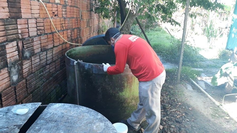 Alta infestação do mosquito Aedes aegypti em Rio Branco alerta para risco de surto de dengue