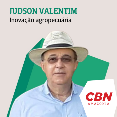 Inovação Agropecuária: Brasil promove missão a Nigéria e Gana para fortalecimento de parcerias estratégicas, promoção de negócios e troca de conhecimentos