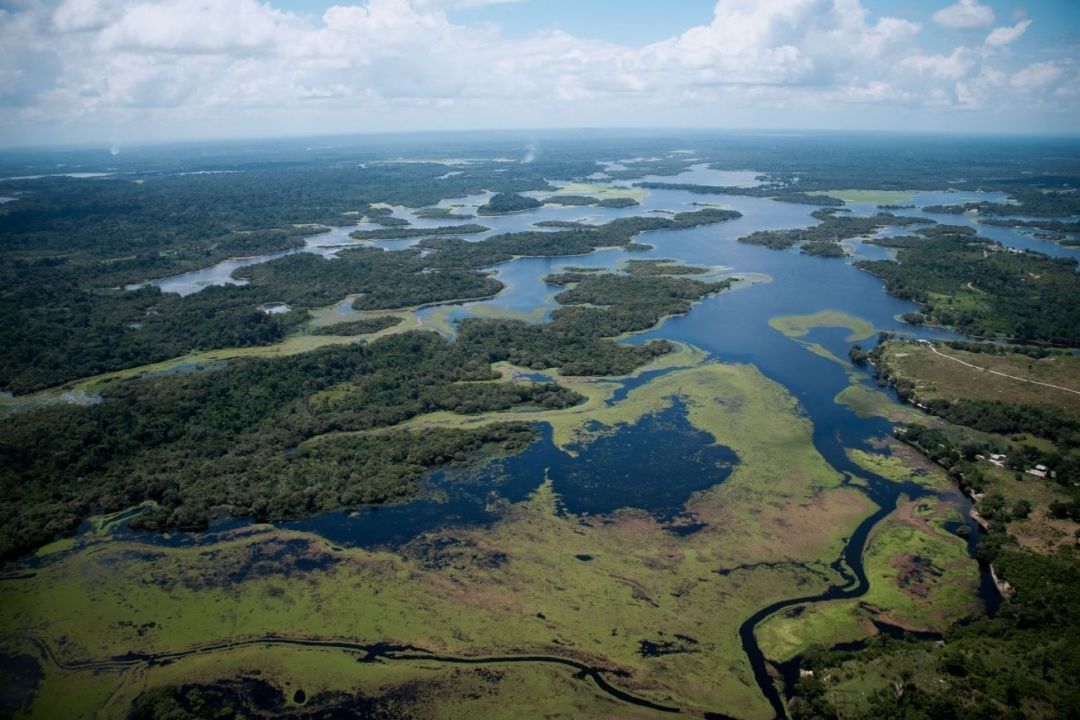 Projeto de sustentabilidade para a Amazônia desenvolvido pelo estado do Pará vai receber apoio do Reino Unido
