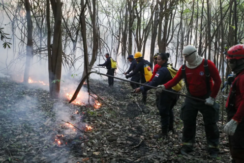 Floresta em chamas: incêndio atinge área de três quilômetros em Iranduba, no Amazonas