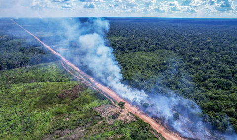 Justiça do Amazonas derruba licença prévia para asfaltamento da BR-319
