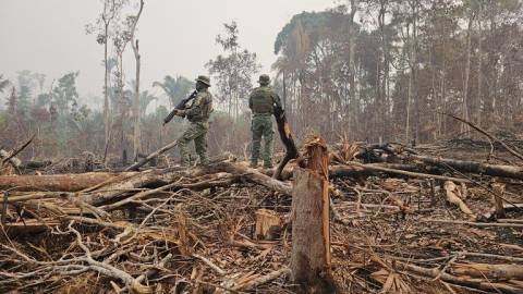 Fiscalização e combate aos crimes ambientais no Amazonas foram coordenadas pelo Ibama