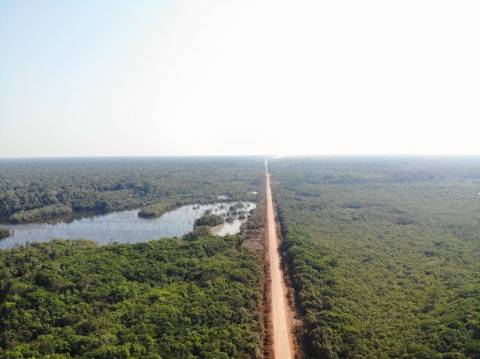Senado aprova lei do licenciamento ambiental e viabiliza asfaltamento da BR-319