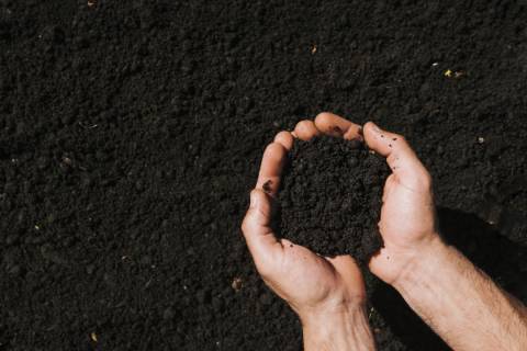 Por Dentro do Agro: os solos da região norte