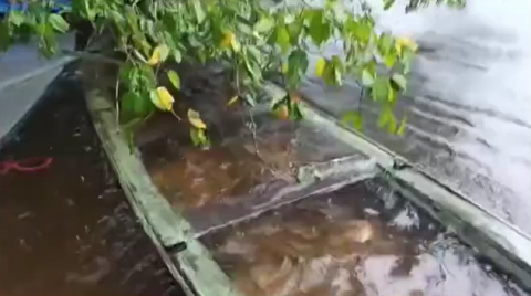 Grupo se salva a nado após canoa naufragar em Maués