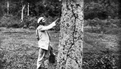6 de agosto: Dia da Revolução Acreana