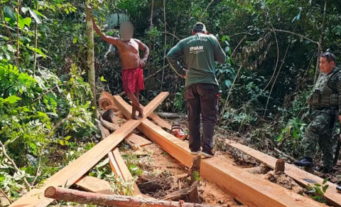 Operação aplica mais de 420 mil reais em multas por crimes ambientais em Manaus
