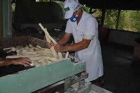 Por Dentro do Agro: Embrapa Acre lança manual com orientações para produtores rurais