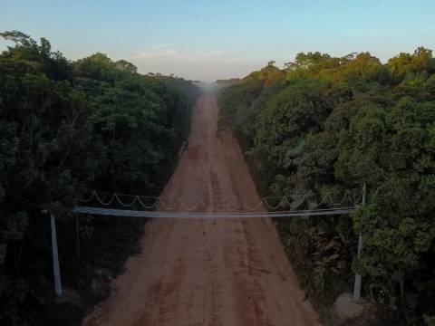 Justiça suspende licitações de obras na BR-319